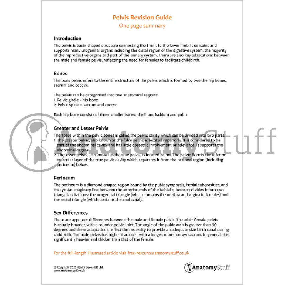 Pelvis Revision Guide (One Page Summary)