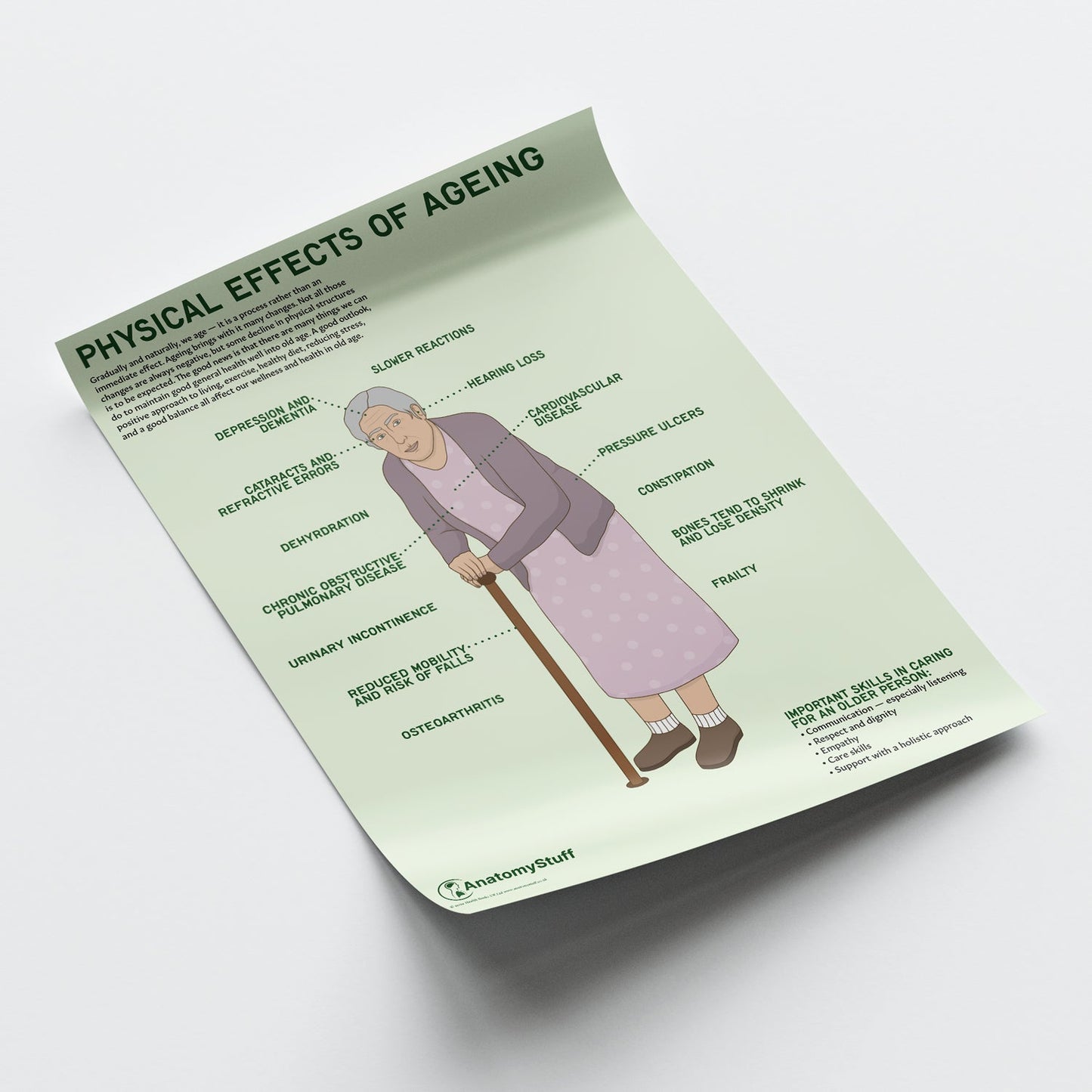 Physical Effects Of Ageing Chart / Poster