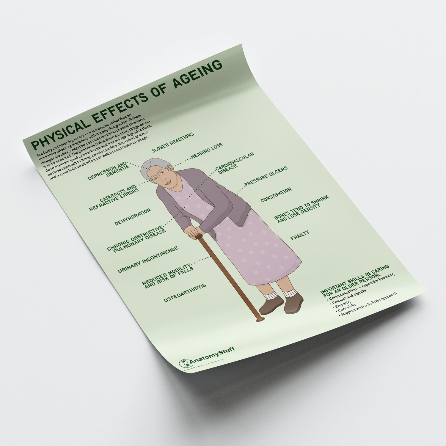 Physical Effects Of Ageing Chart / Poster