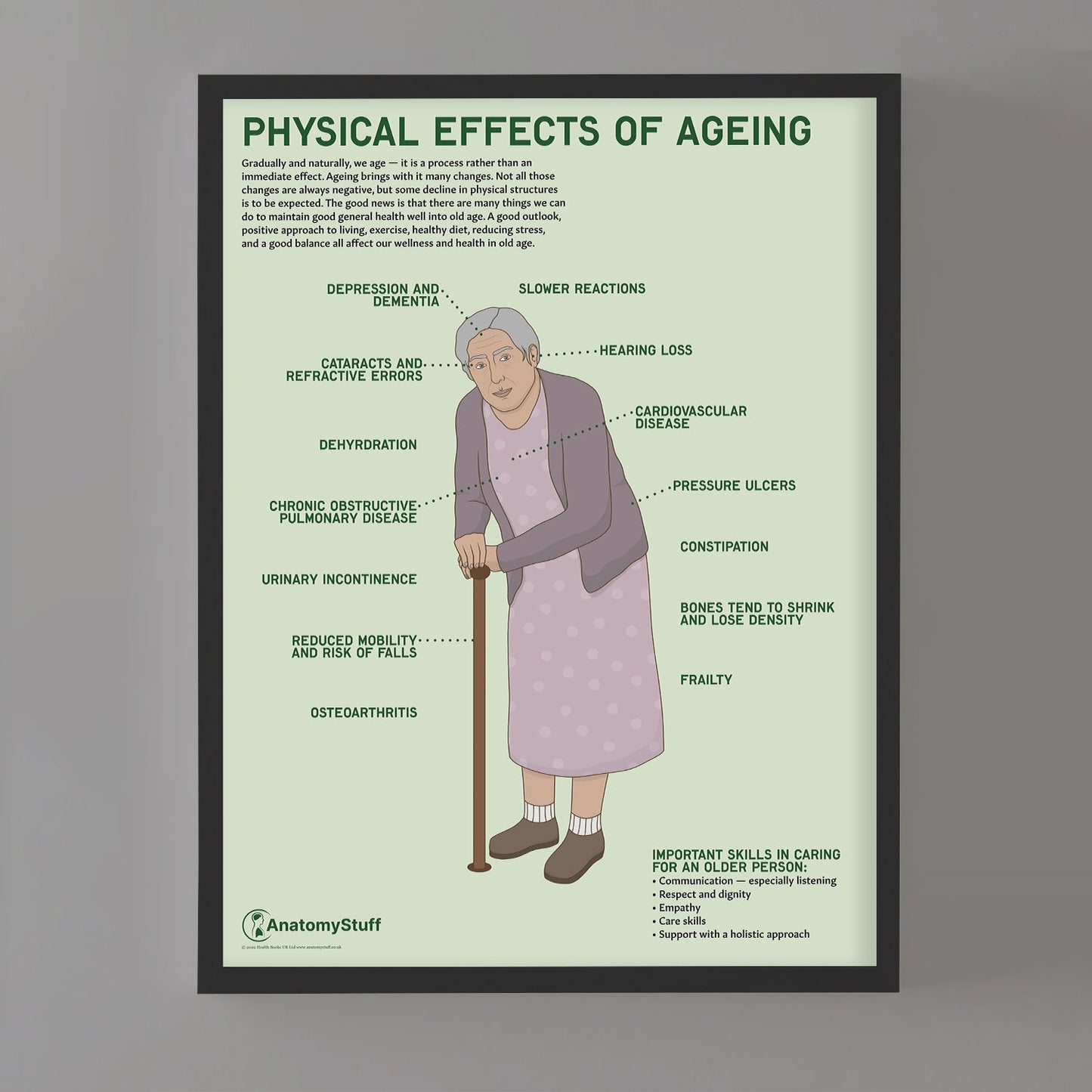 Physical Effects Of Ageing Chart / Poster