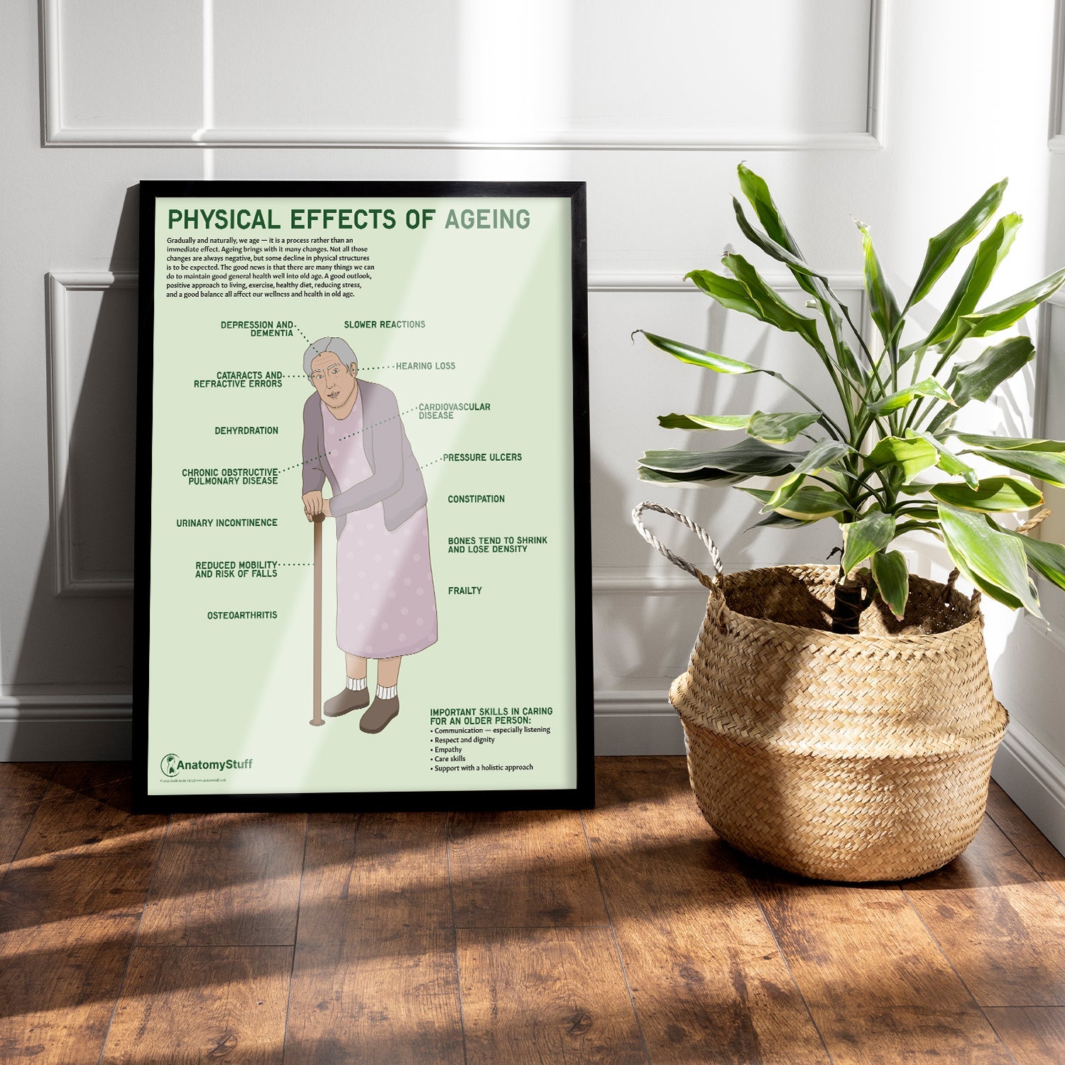 Physical Effects Of Ageing Chart / Poster