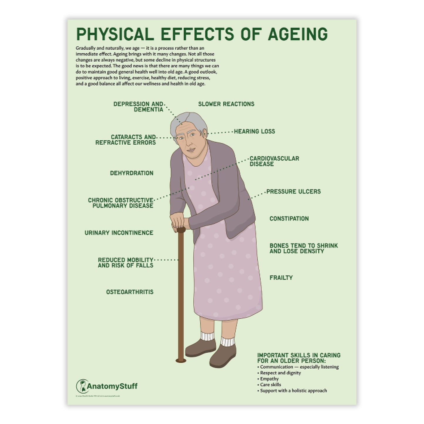 Physical Effects Of Ageing Chart / Poster