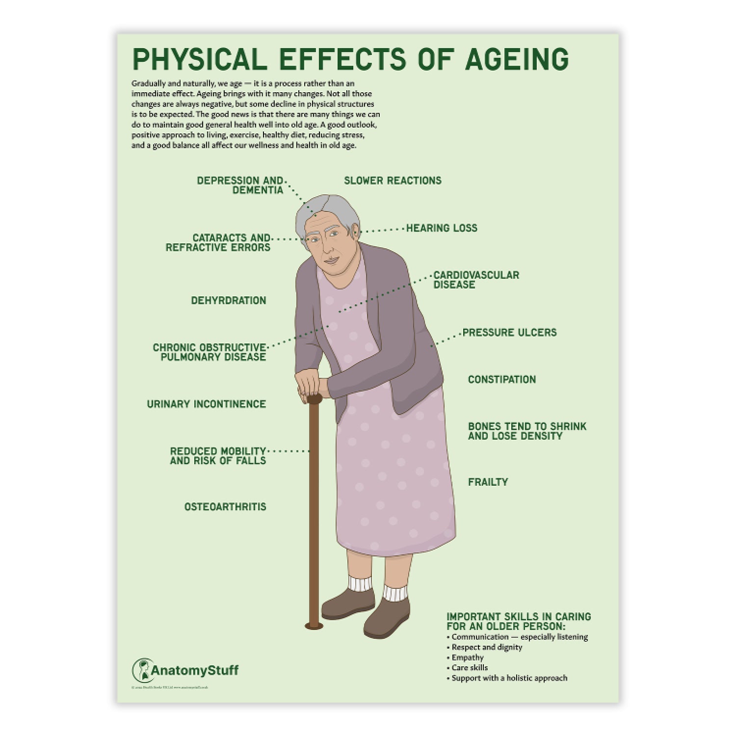 Physical Effects Of Ageing Chart / Poster