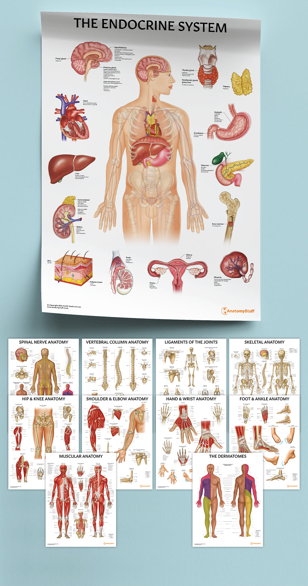 Physiotherapy 10 Poster Collection