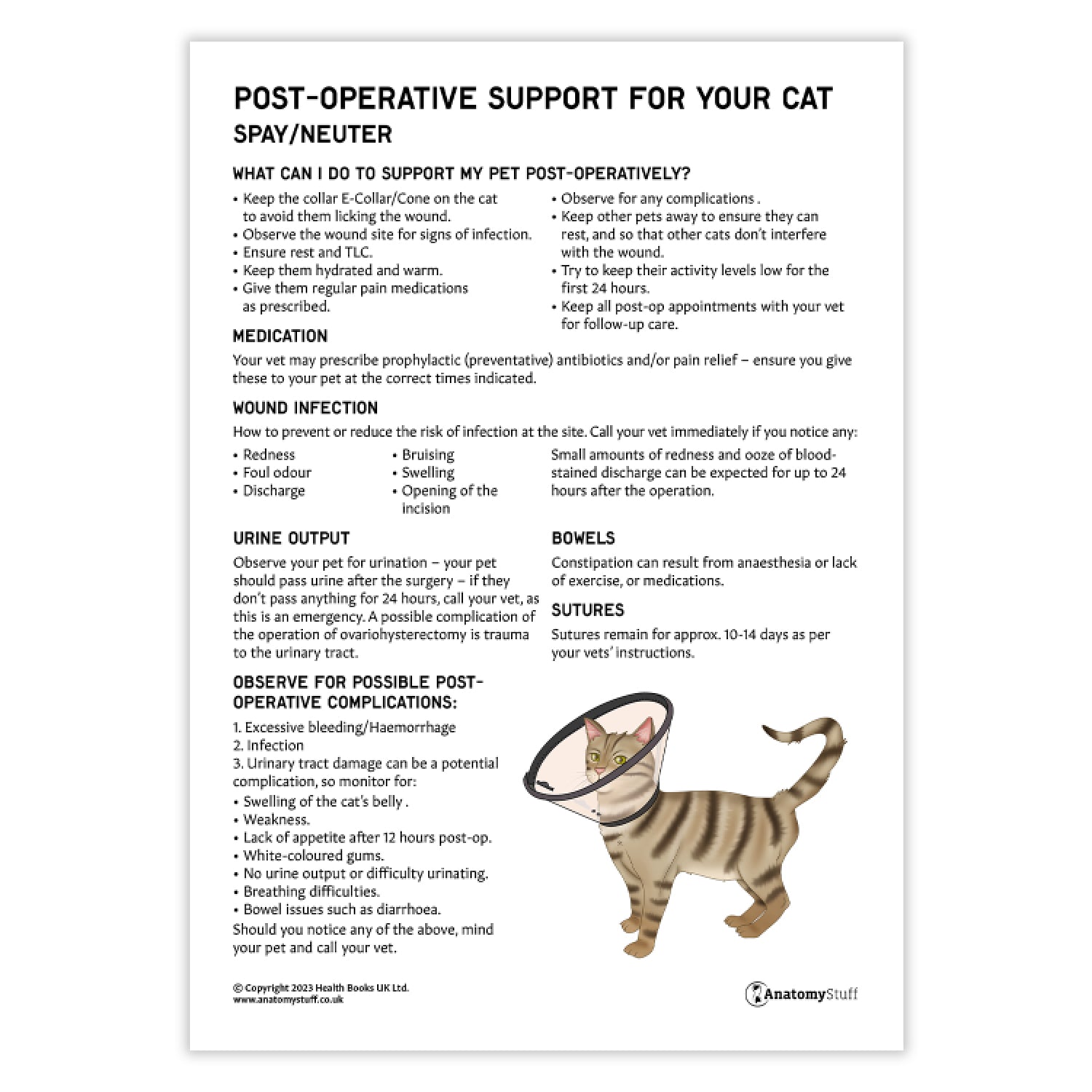 Post-Operative Support for Your Cat - Spay/Neuter (Printable PDF)