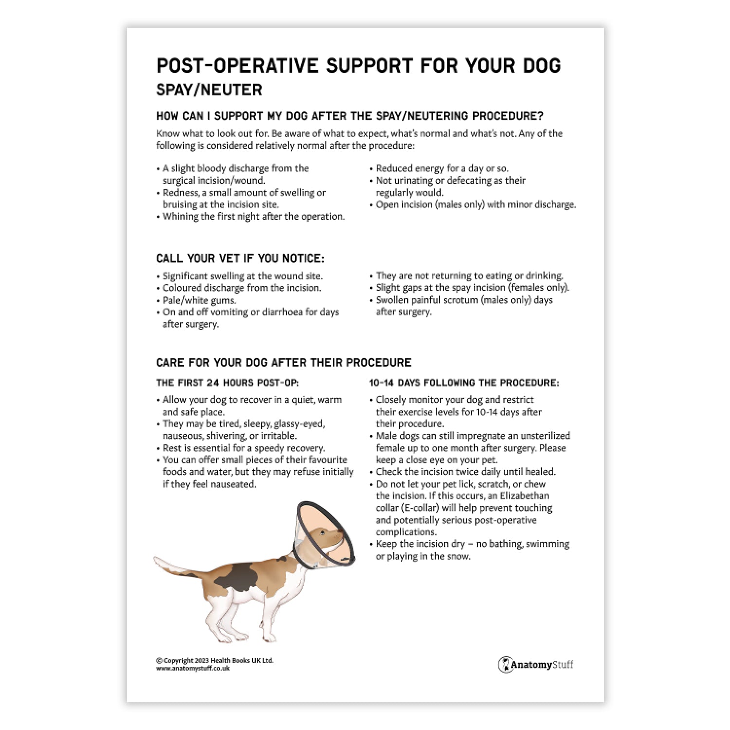 Post-Operative Support for Your Dog - Spay/Neuter  (Printable PDF)