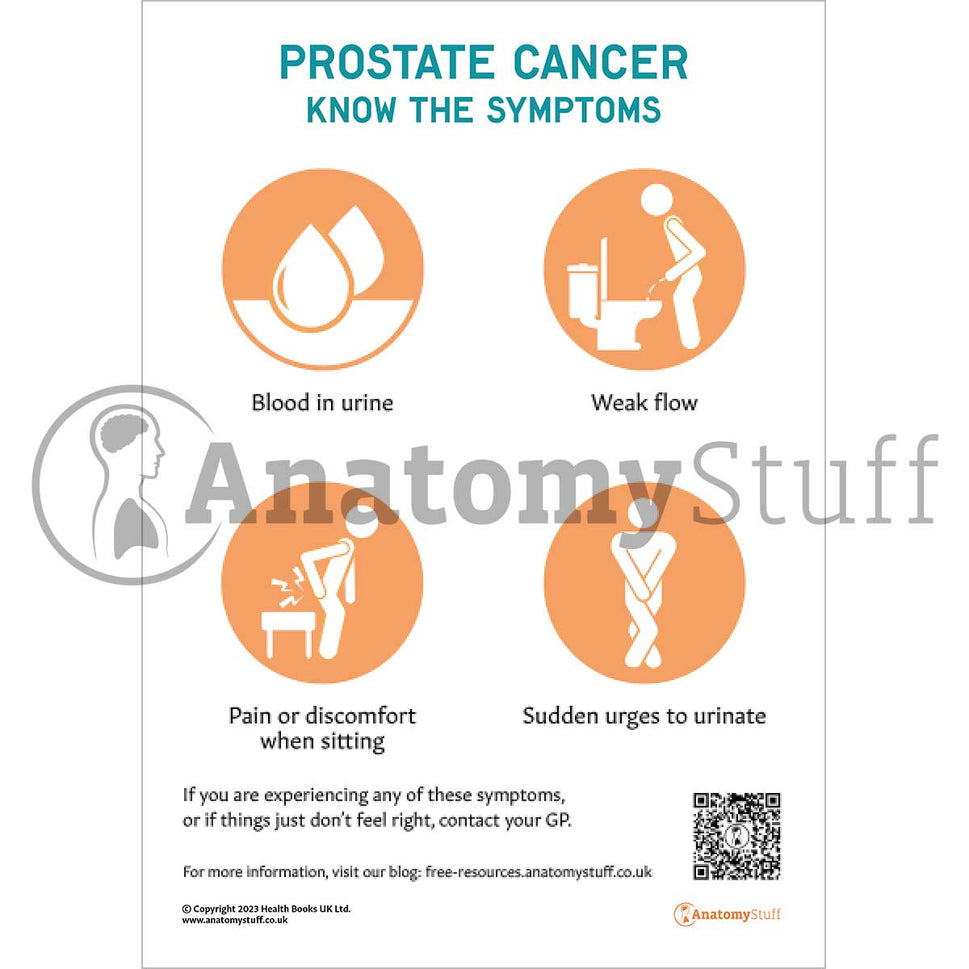 Signs and Symptoms of Prostate Cancer (Printable PDF)