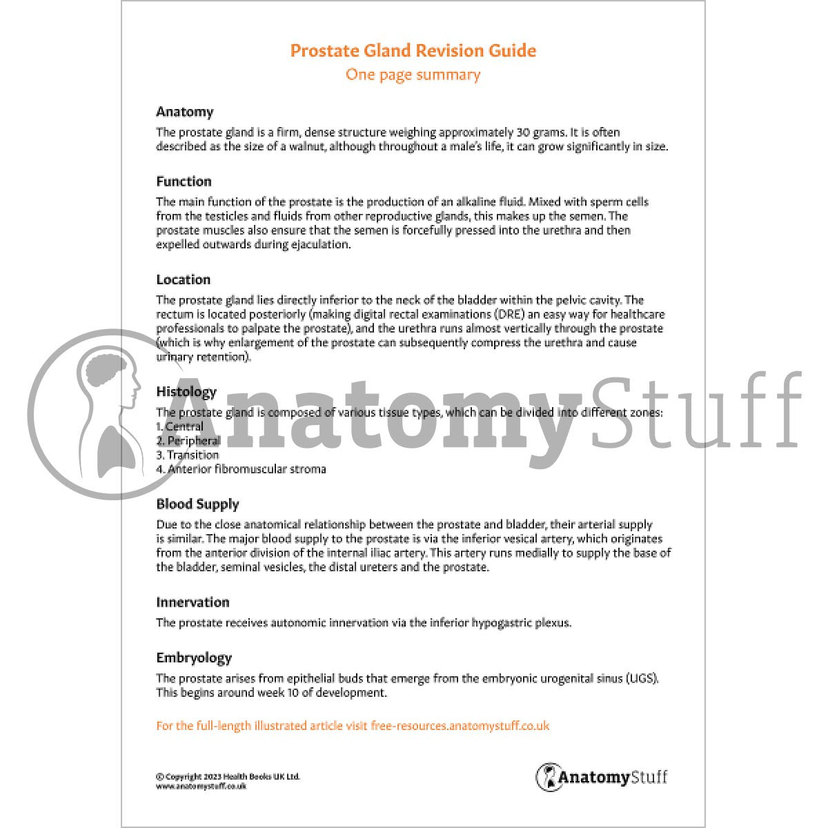 Prostate Gland Revision Guide (One Page Summary)