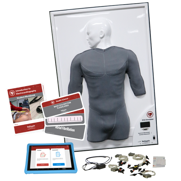 <strong>ECG Simulator</strong>