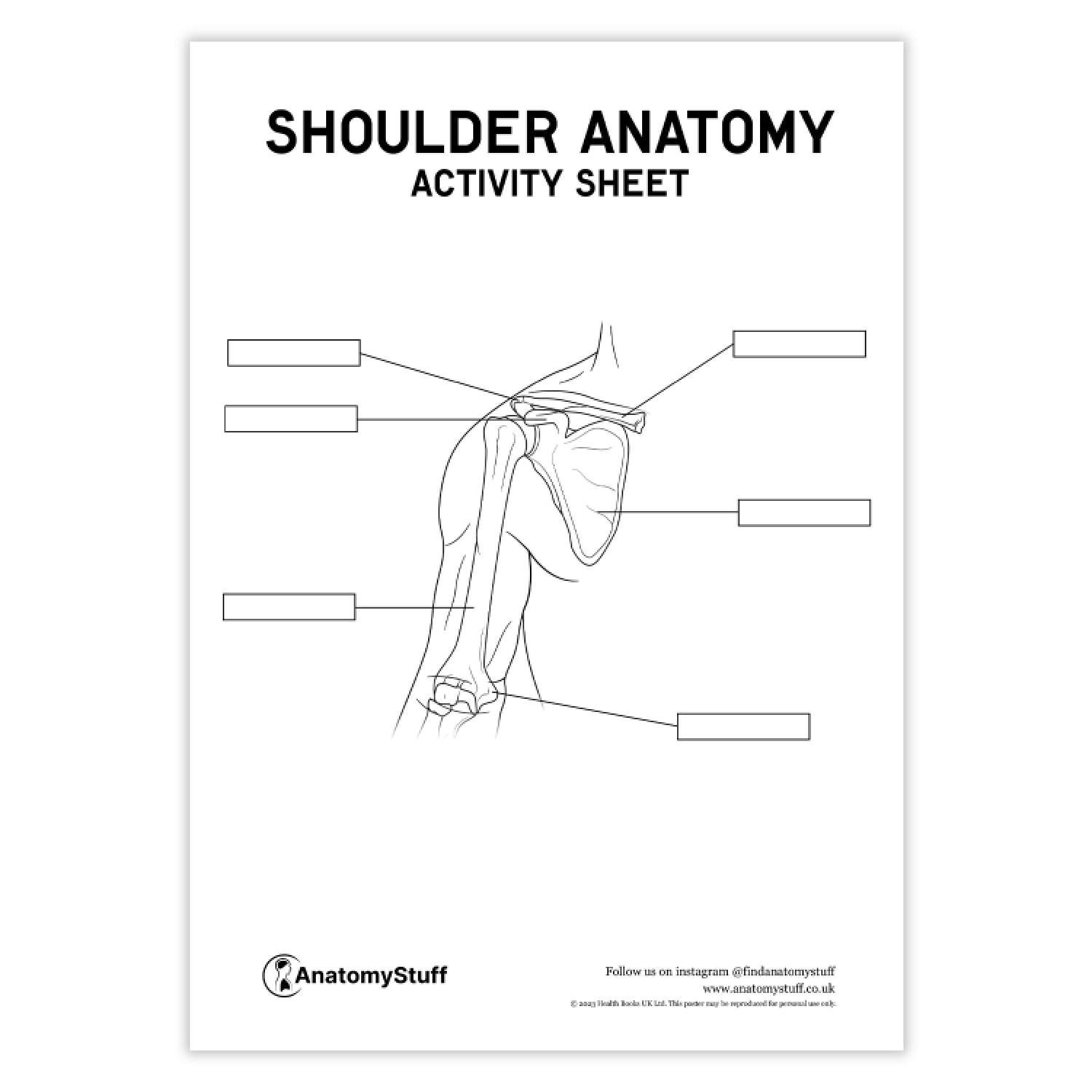 Shoulder Anatomy Activity Sheet PDF