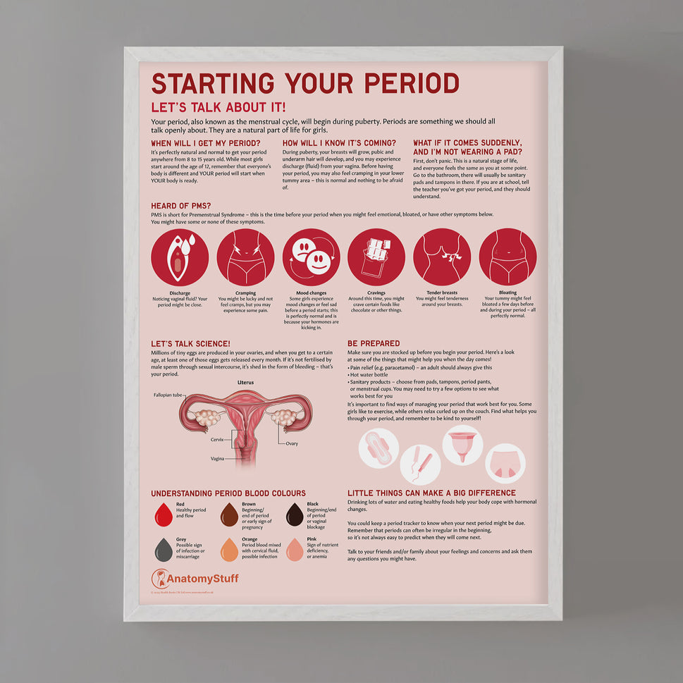Starting Your Period Chart / Poster