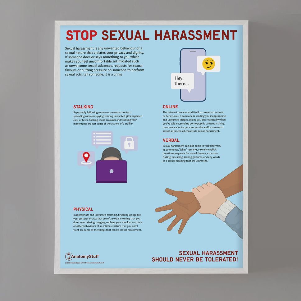 Stop Sexual Harassment Chart / Poster