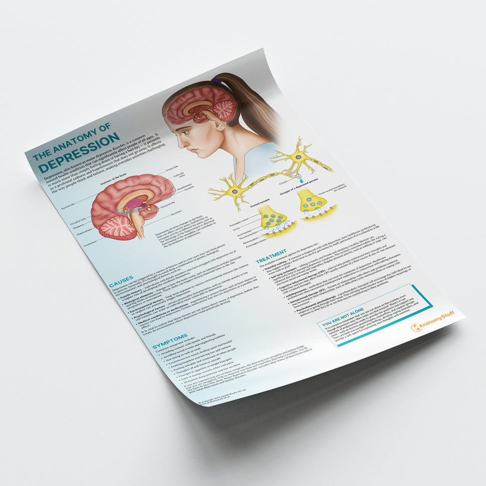 The Anatomy of Depression Chart / Poster