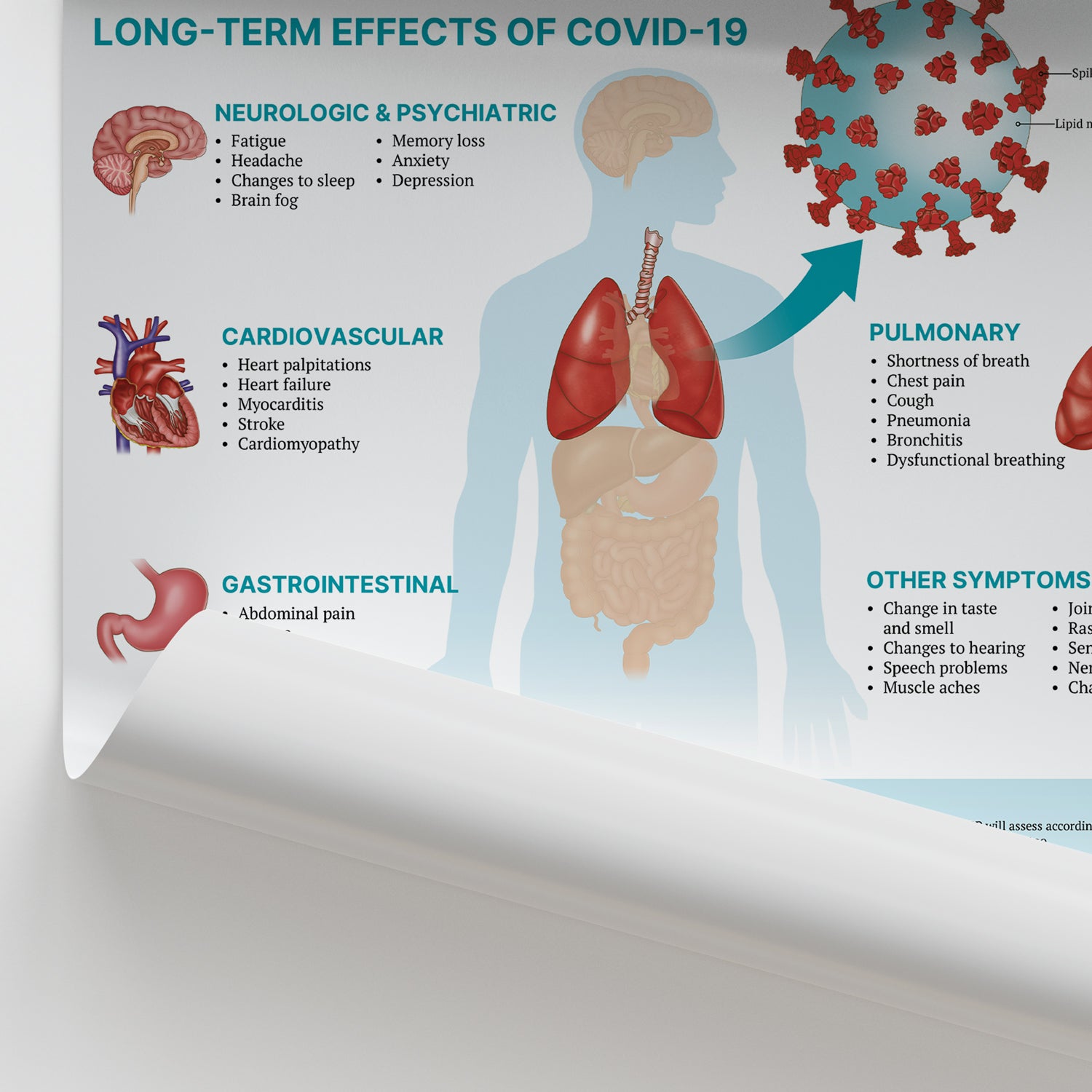 The Anatomy of Long COVID Chart / Poster