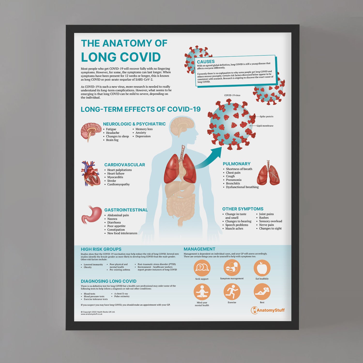 The Anatomy of Long COVID Chart / Poster