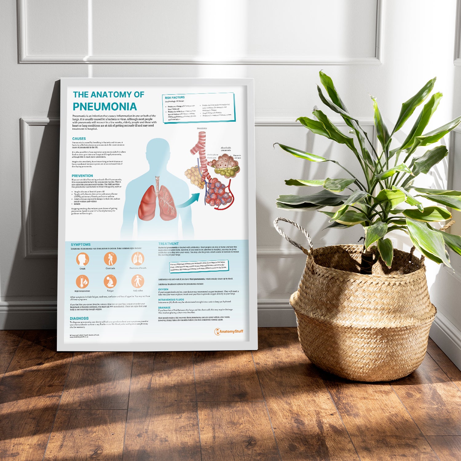 The Anatomy of Pneumonia Chart / Poster