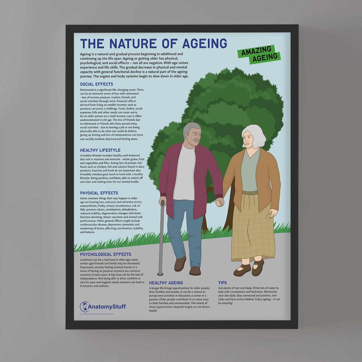 The Nature Of Ageing Chart / Poster