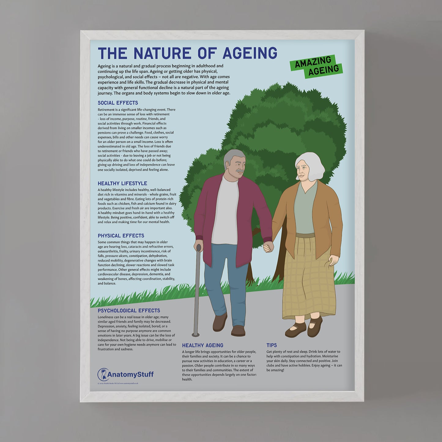 The Nature Of Ageing Chart / Poster