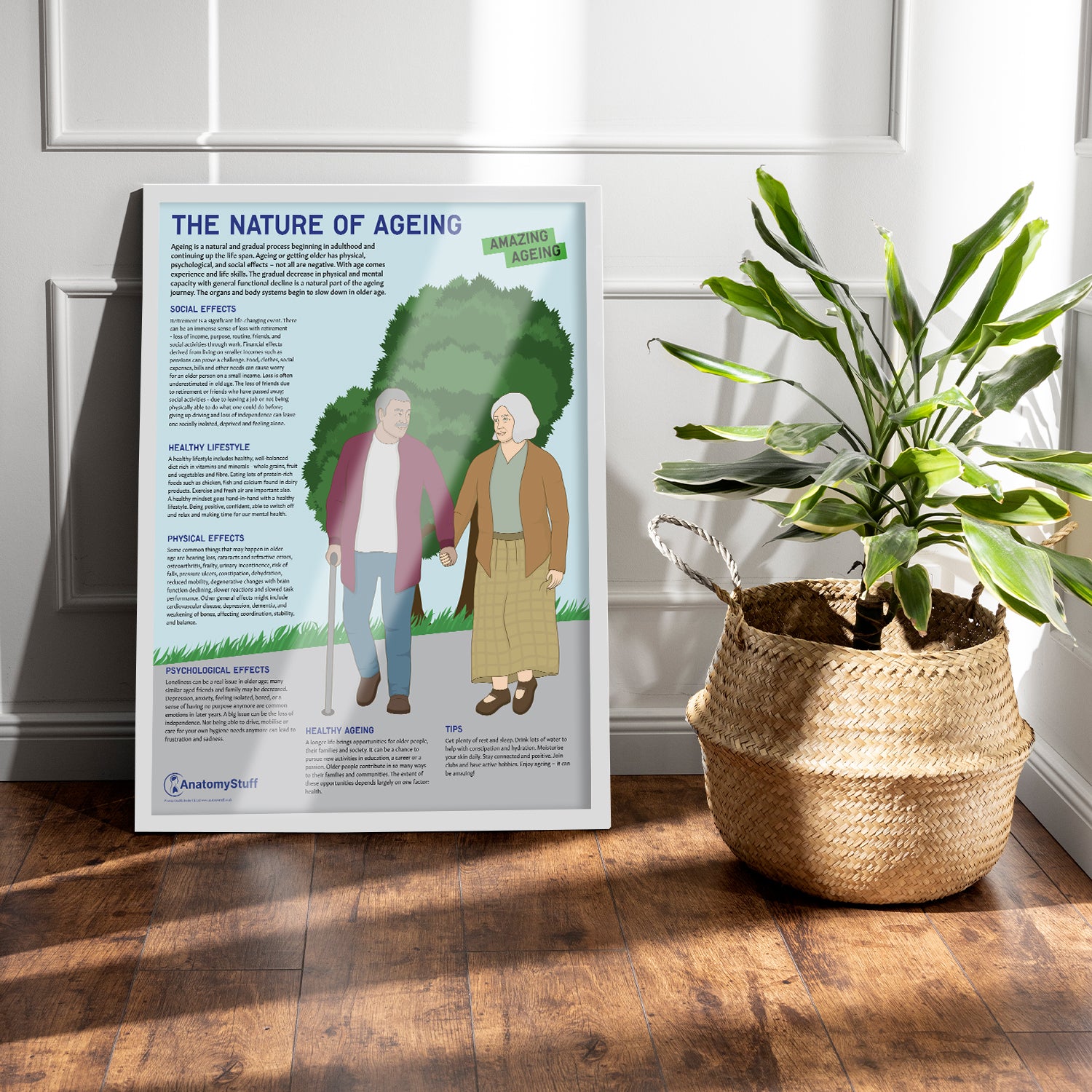 The Nature Of Ageing Chart / Poster