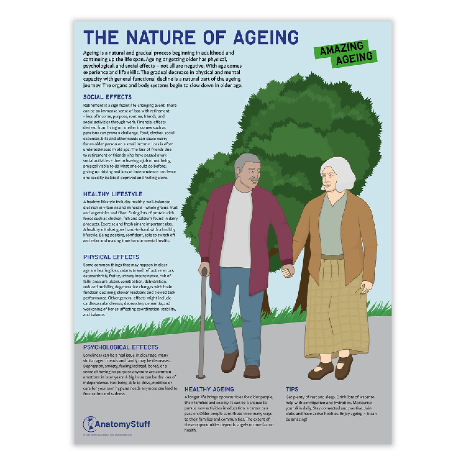 The Nature Of Ageing Chart / Poster