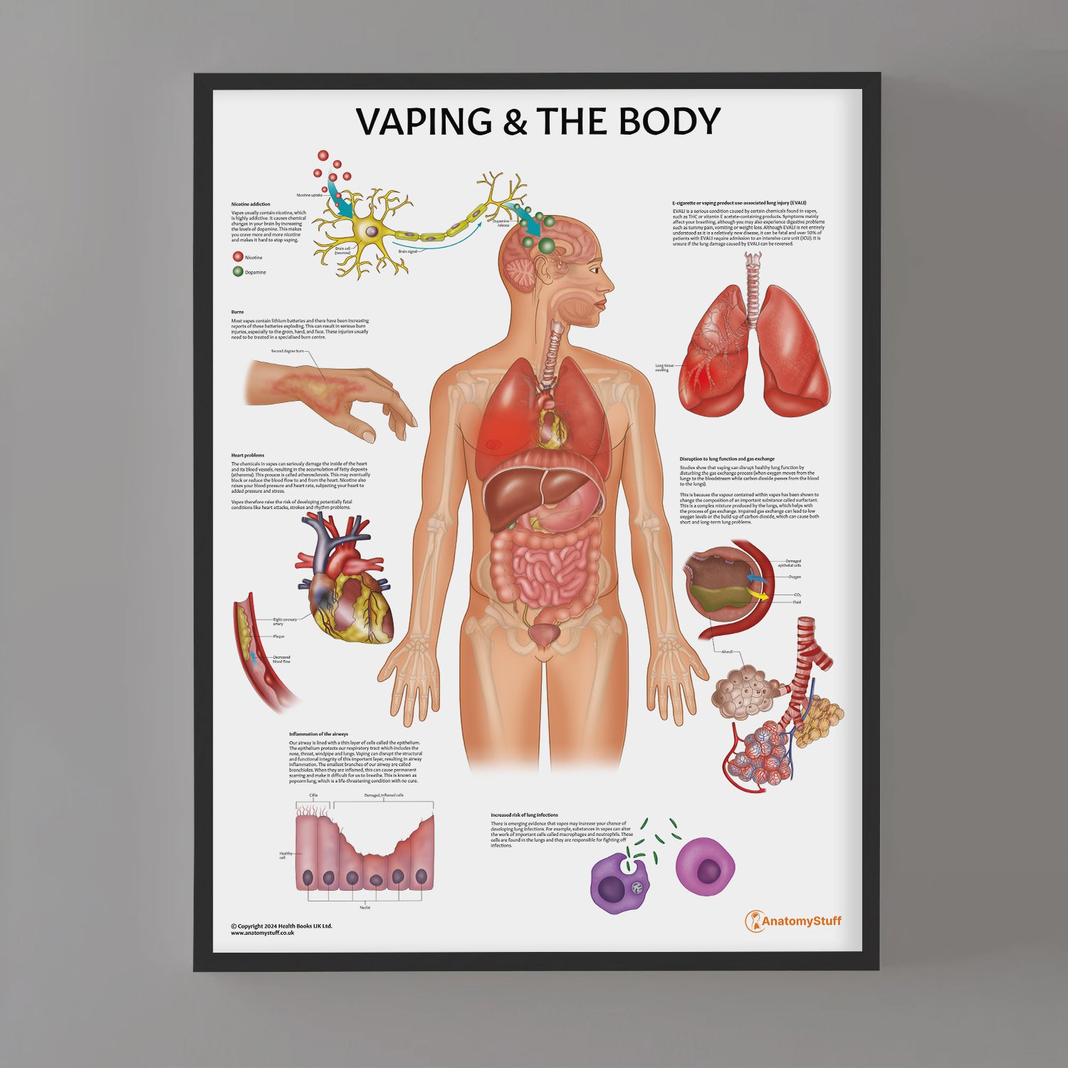 Vaping and The Body Chart / Poster