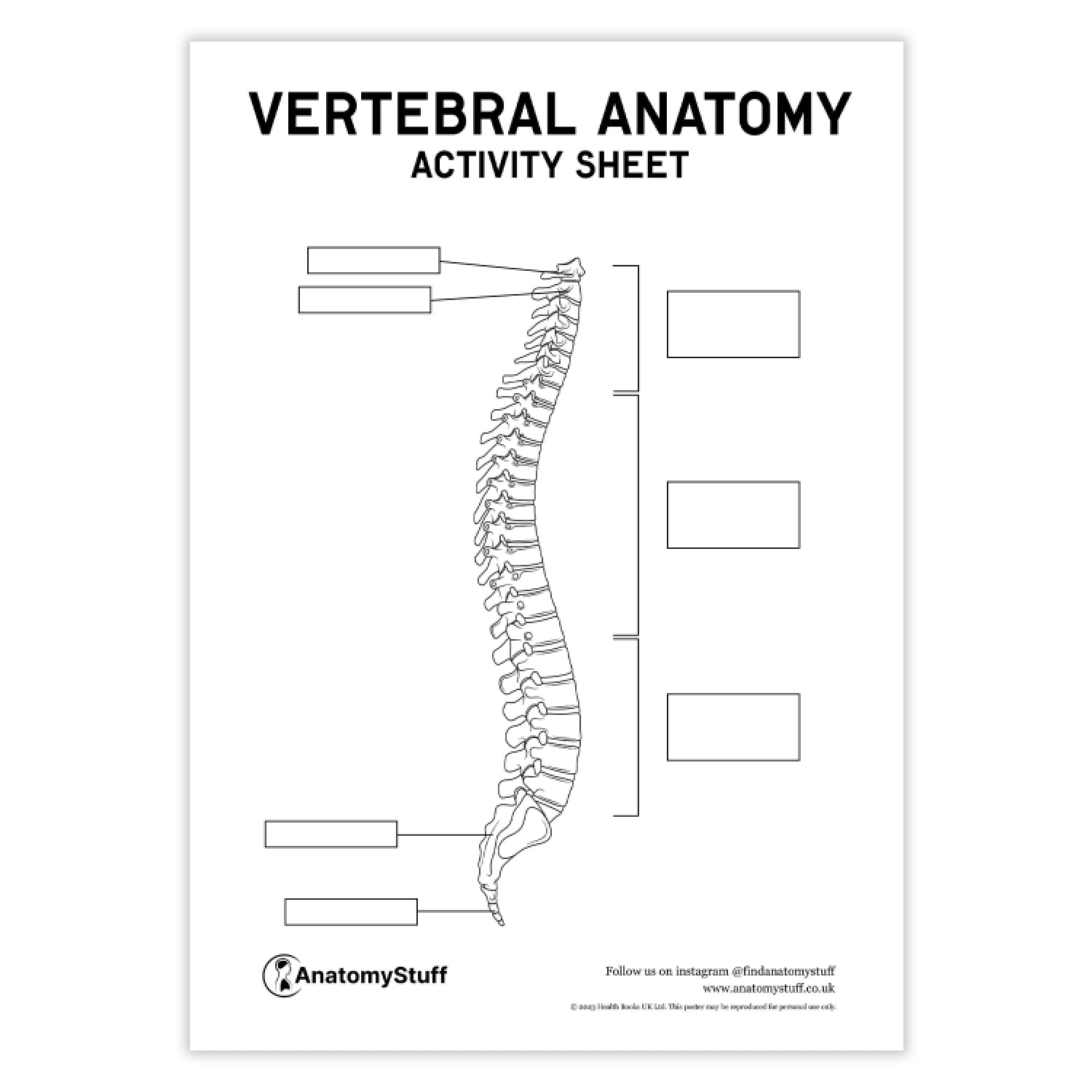 Vertebral Anatomy Activity Sheet PDF