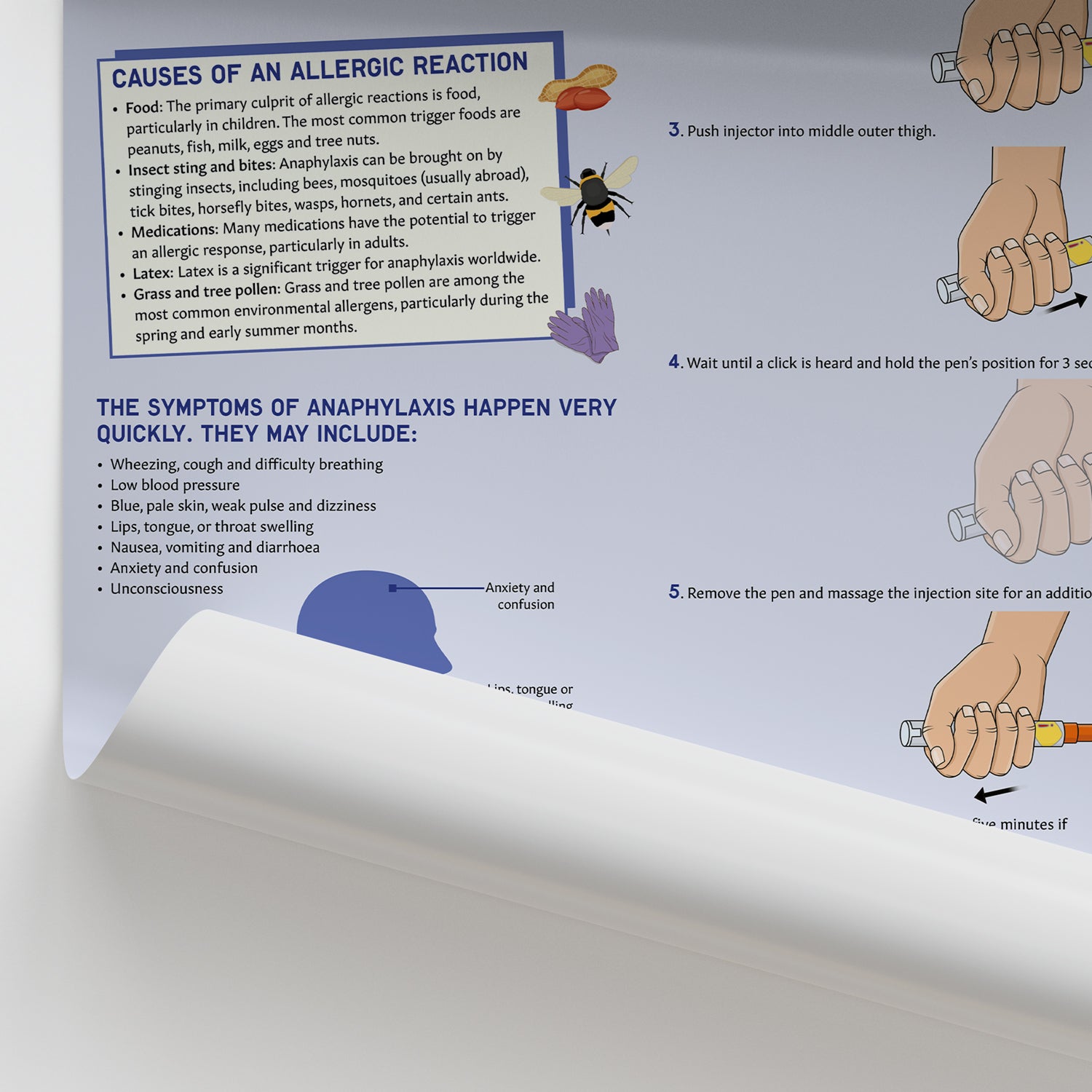 What to Do In Case of An Allergic Reaction Chart / Poster
