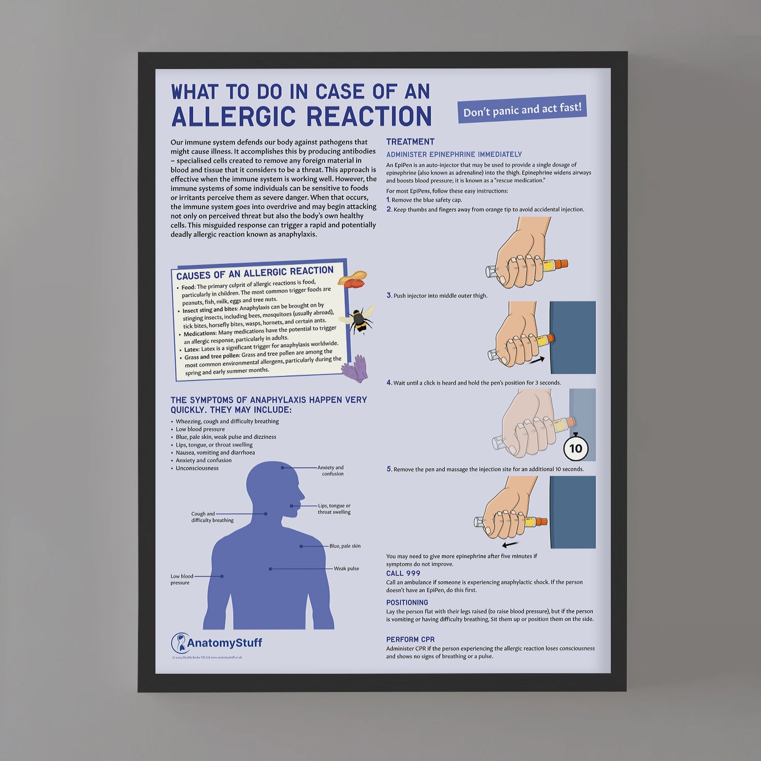 What to Do In Case of An Allergic Reaction Chart / Poster