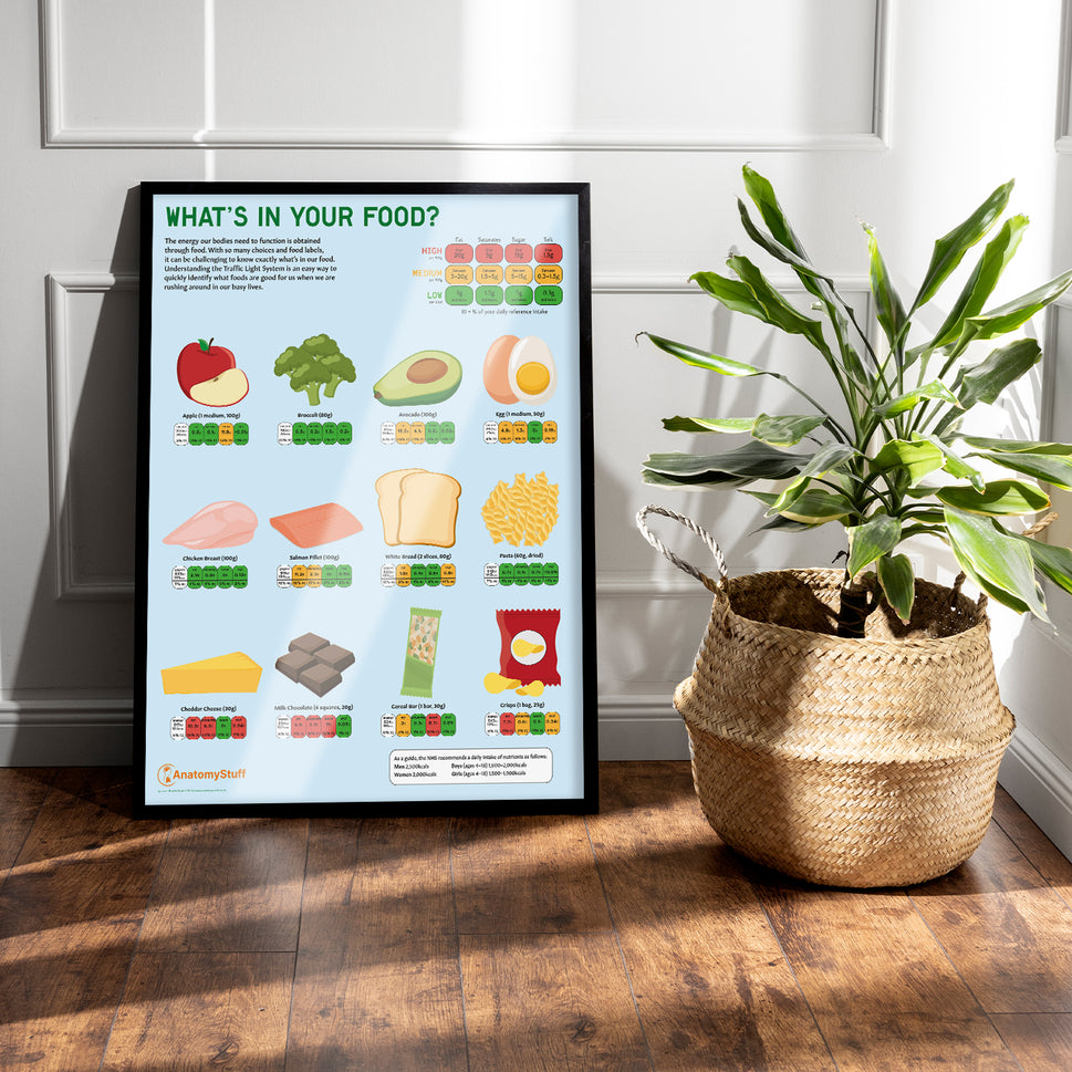 What's In Your Food? Chart / Poster