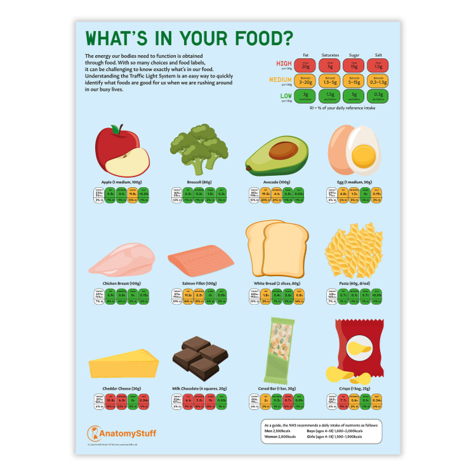 What's In Your Food? Chart / Poster
