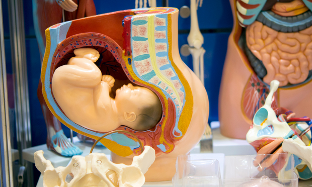 Pregnancy - What to Expect