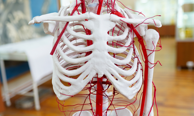 The Circulatory System
