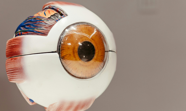 Eye Anatomy