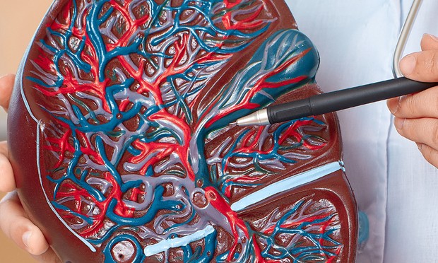 Liver Anatomy Revision Guide