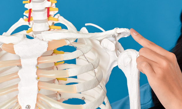 Shoulder Anatomy Revision Guide