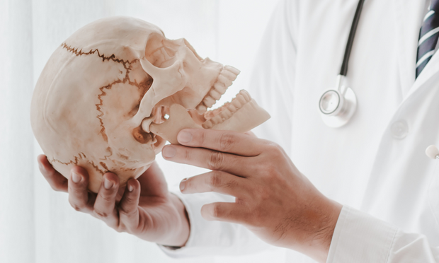 Skull Anatomy Revision Guide