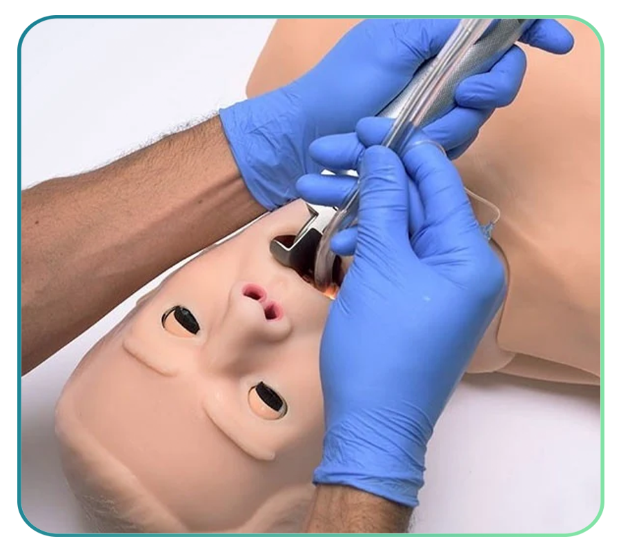 Basic Life Support Machine CPR Manikins | Basic Life Support (BLS) Model | Resuscitation ...