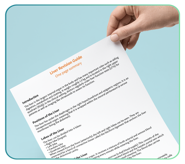 Free Resources  - One Page Summaries