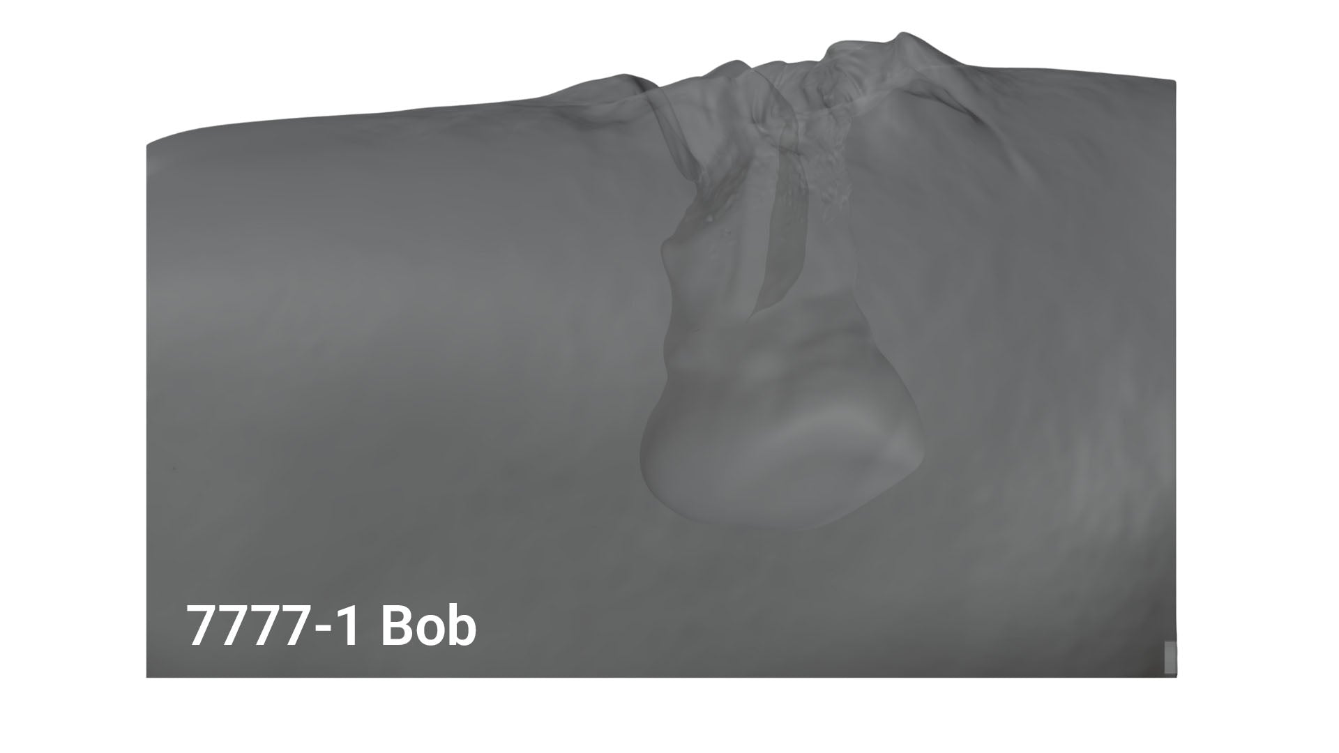 "Blood Brothers" Wound Packing Trainer