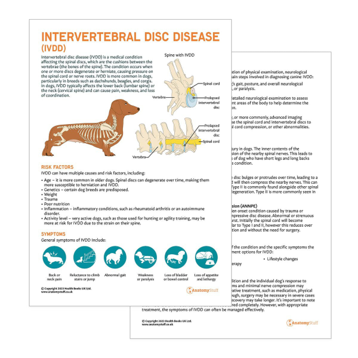 Dog Intervertebral Disc Disease Pet Owner Education Handout