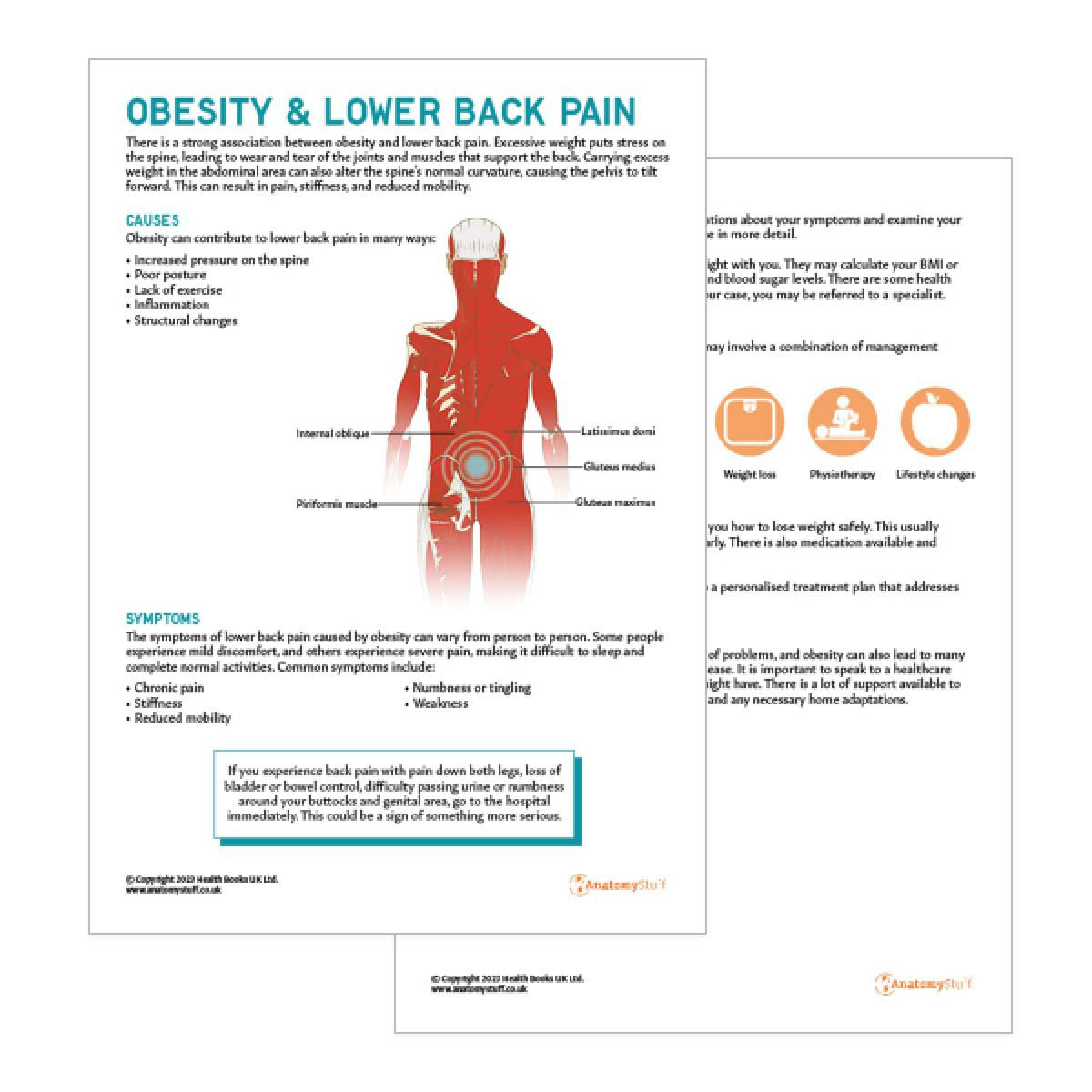 Obesity & Lower Back Pain Patient Education Leaflet | Printable PDF ...