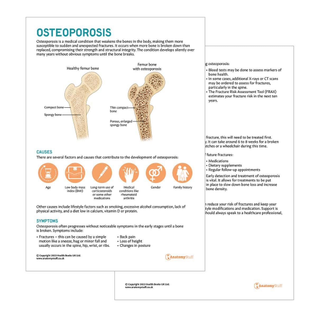 Osteoporosis Patient Education Handout (Printable PDF)