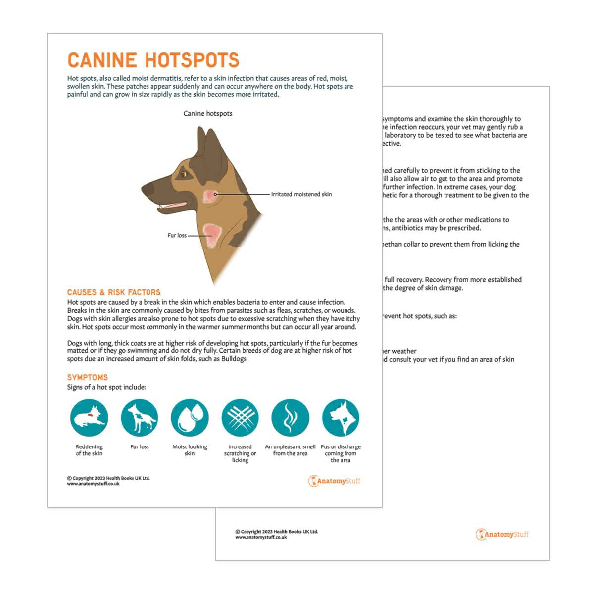 Canine Hotspots Pet Owner Education Handout (Printable PDF)