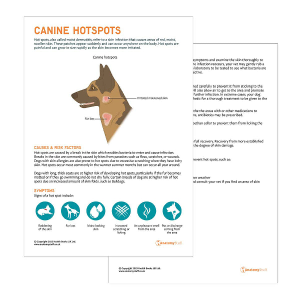 Canine Hotspots Pet Owner Education Handout (Printable PDF)