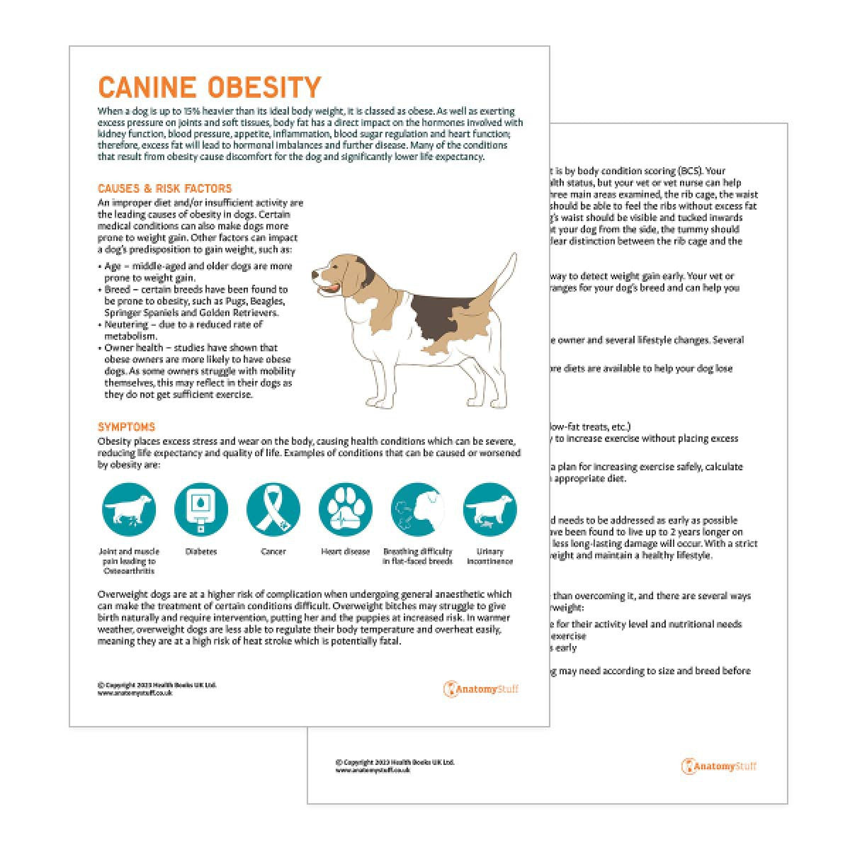 Dog Obesity Pet Owner Education Handout