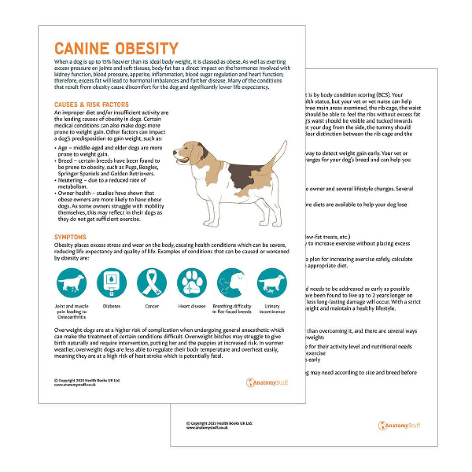 Canine Obesity Pet Owner Education Handout (Printable PDF)