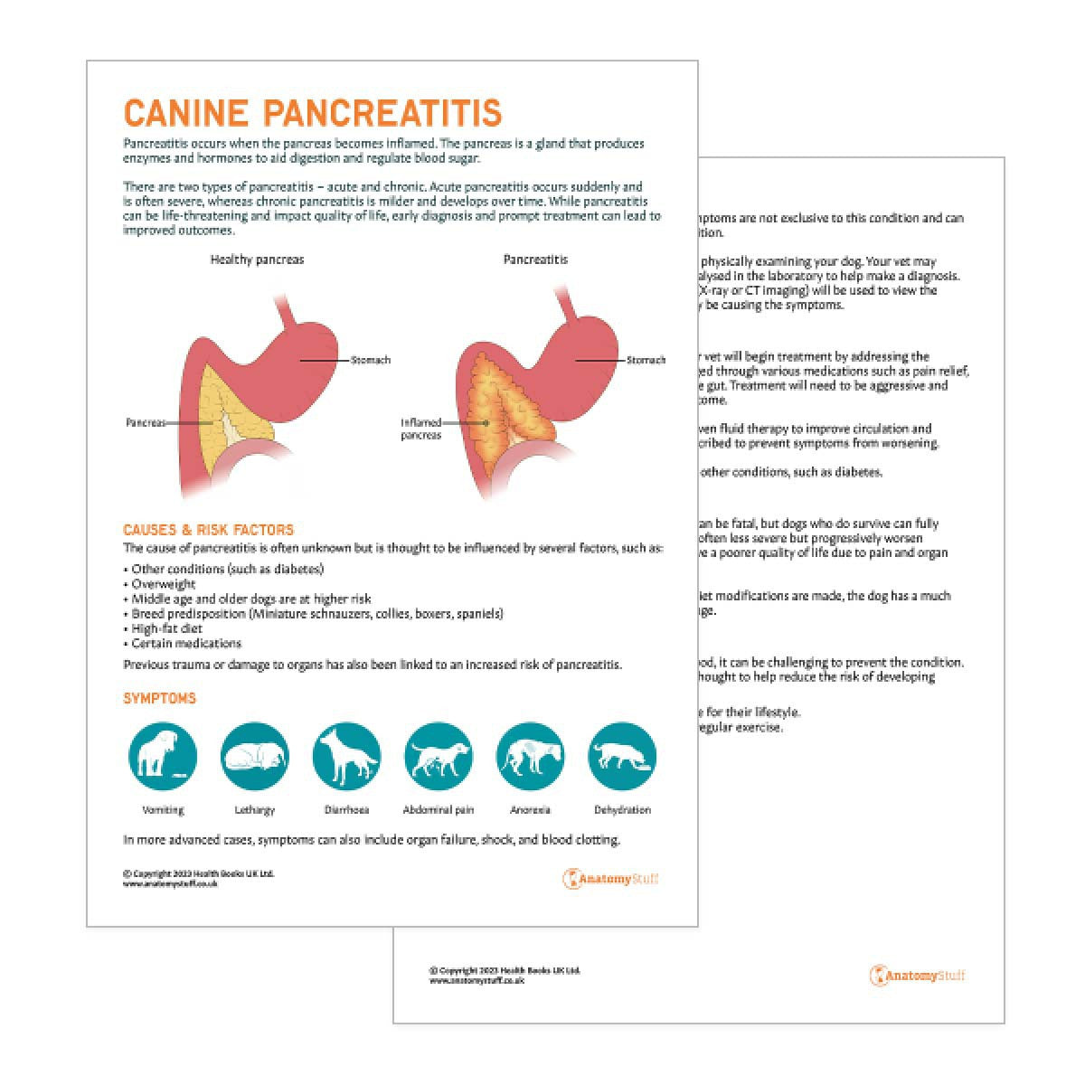 Canine Pancreatitis Pet Owner Education Handout