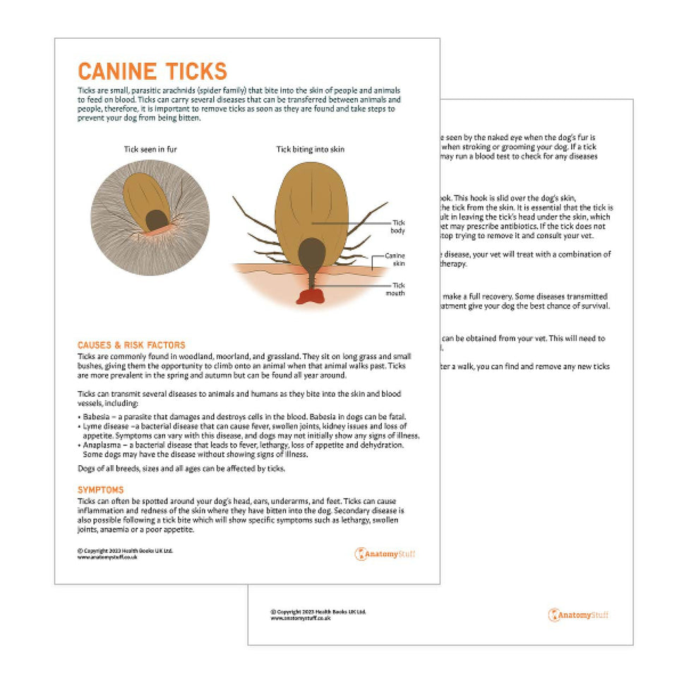 Canine Ticks Pet Owner Education Handout (Printable PDF)