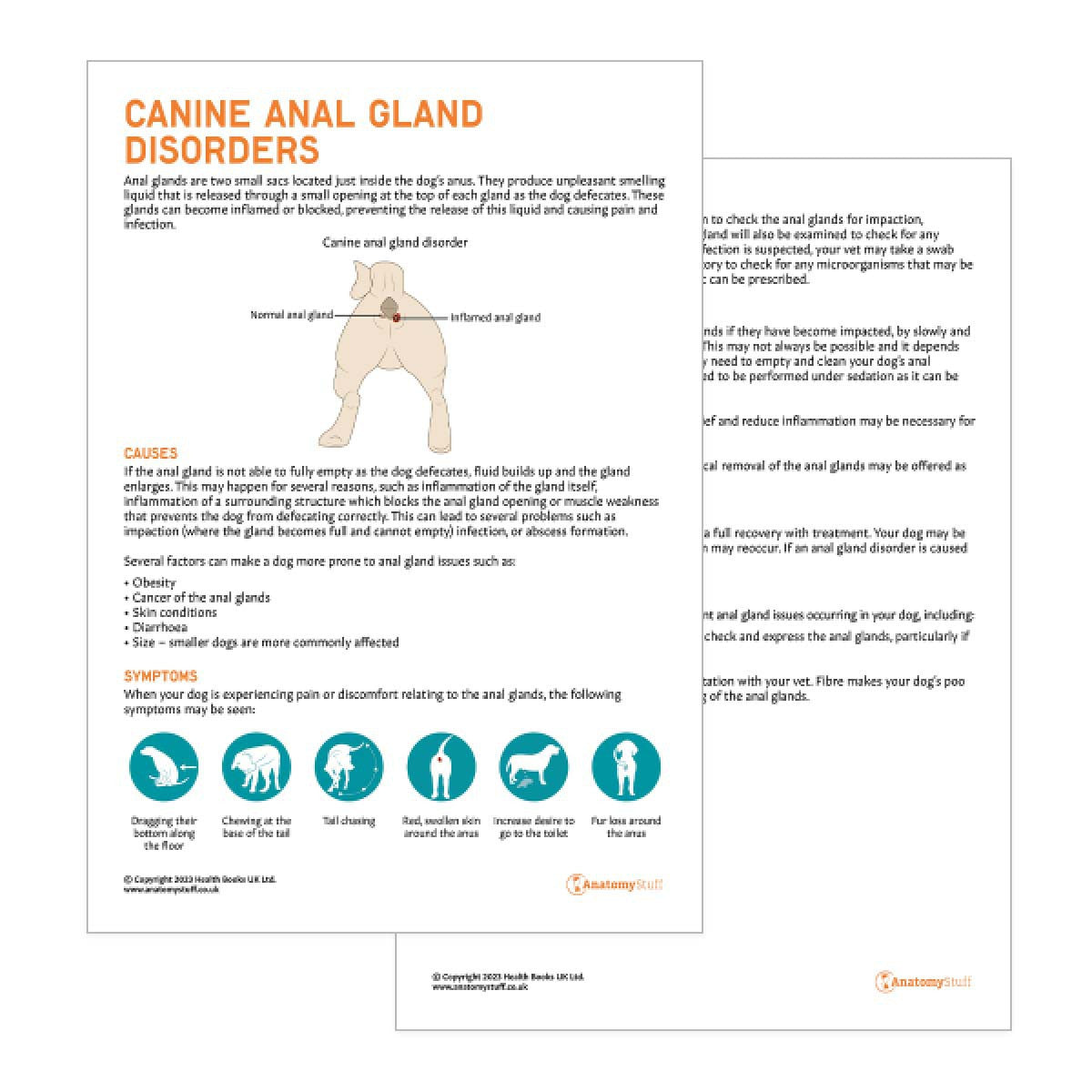 Canine Anal Gland Disorders Pet Owner Education Handout (Printable PDF)