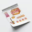 Switch Anatomie Von Haut, Haaren &amp; Nageln Chart / Poster - German 3 image